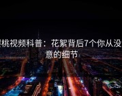 樱桃视频科普：花絮背后7个你从没注意的细节