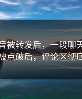 一段录音被转发后，一段聊天记录的暗线被点破后，评论区彻底复盘