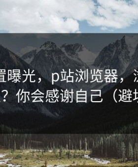 隐藏设置曝光，p站浏览器，浏览器怎么设置？你会感谢自己（避坑重点）