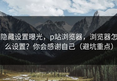 隐藏设置曝光，p站浏览器，浏览器怎么设置？你会感谢自己（避坑重点）