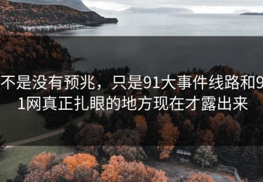 不是没有预兆，只是91大事件线路和91网真正扎眼的地方现在才露出来