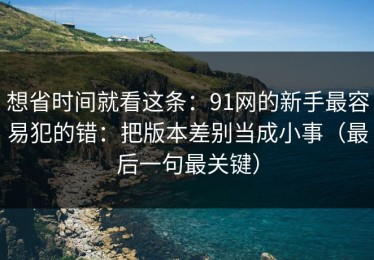 想省时间就看这条：91网的新手最容易犯的错：把版本差别当成小事（最后一句最关键）