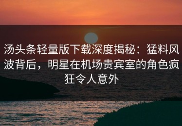 汤头条轻量版下载深度揭秘：猛料风波背后，明星在机场贵宾室的角色疯狂令人意外