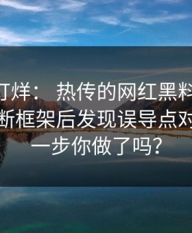 黑料不打烊： 热传的网红黑料截图： 给出判断框架后发现误导点对不上这一步你做了吗？