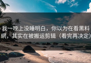 我一晚上没睡明白，你以为在看黑料網，其实在被搬运剪辑（看完再决定）