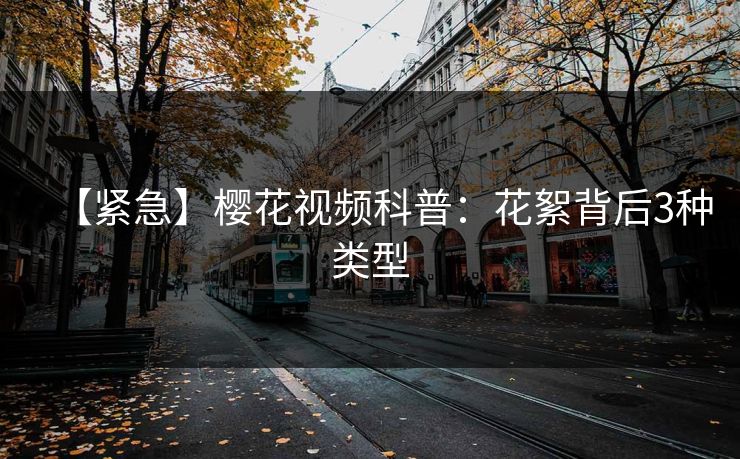 【紧急】樱花视频科普:花絮背后3种类型 【紧急】樱花视频科普:花絮背后3种类型
