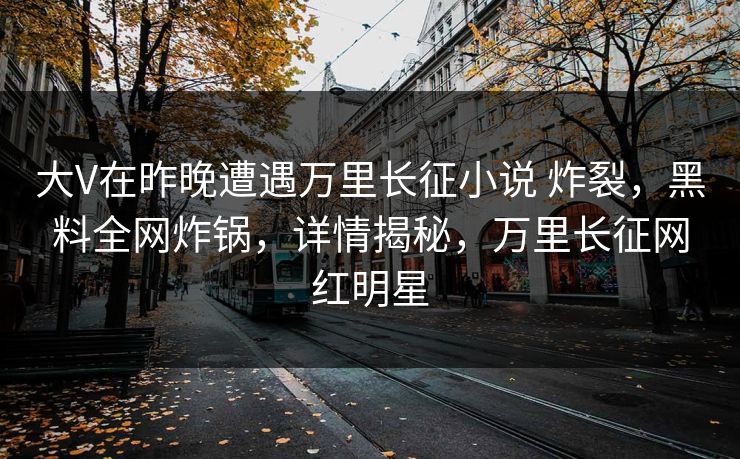 大V在昨晚遭遇万里长征小说 炸裂，黑料全网炸锅，详情揭秘，万里长征网红明星