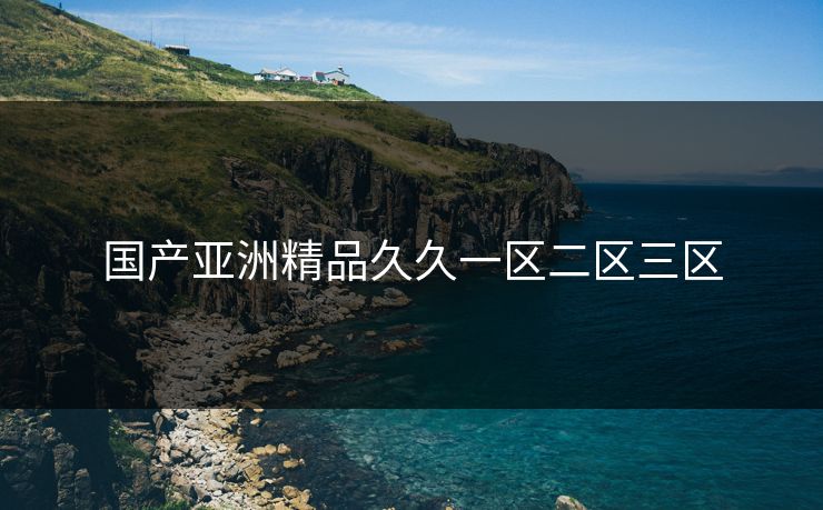 国产亚洲精品久久一区二区三区