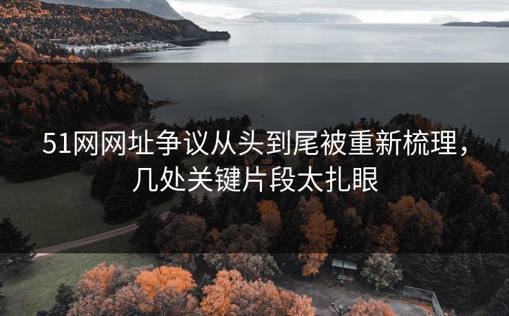 51网网址争议从头到尾被重新梳理,几处关键片段太扎眼 51网网址争议从头到尾被重新梳理,几处关键片段太扎眼
